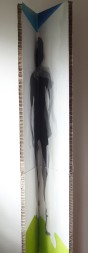 Vorschaubild